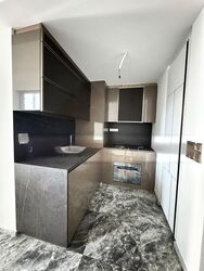 One Bernam (D2), Apartment #503681361